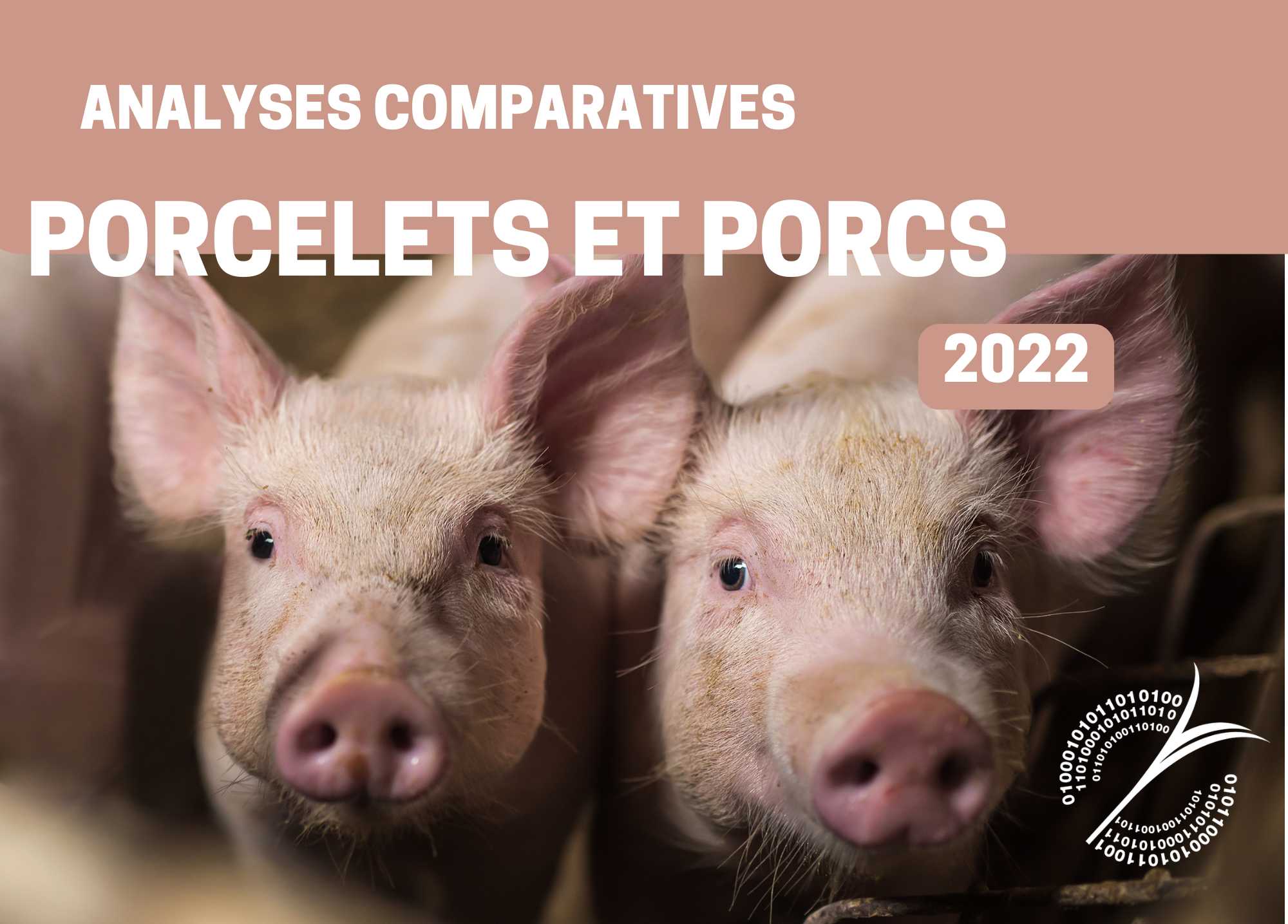 Récentes publications : ANALYSES COMPARATIVES - PORCELETS ET PORCS 2022