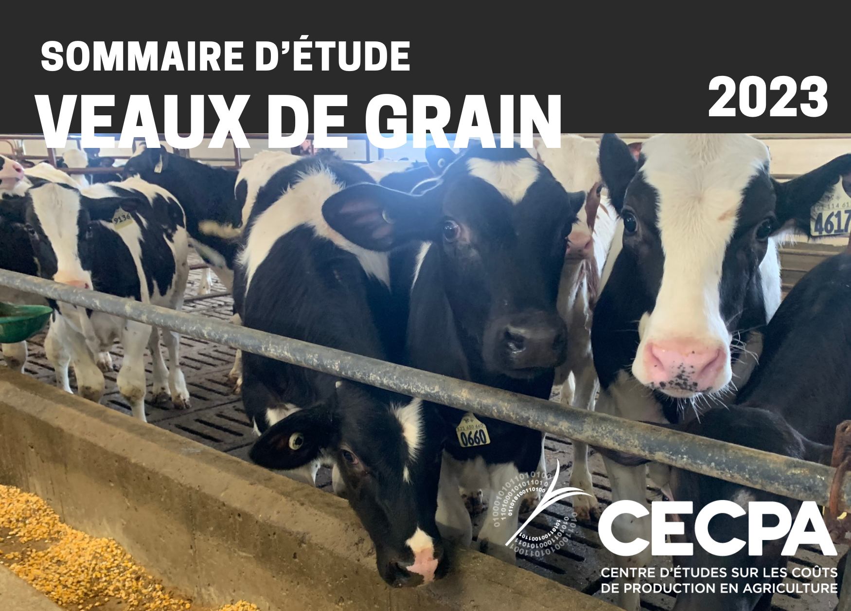 étude : SOMMAIRE - COÛT DE PRODUCTION - VEAUX DE GRAIN 2023